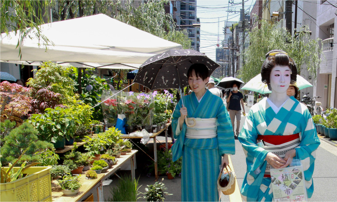 お富士さんの植木市1