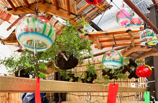 お富士さんの植木市2