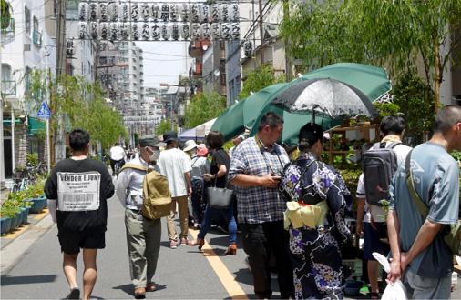 お富士さんの植木市3